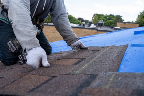 Best Roof Insulation Installation  in Piney Mountain, VA